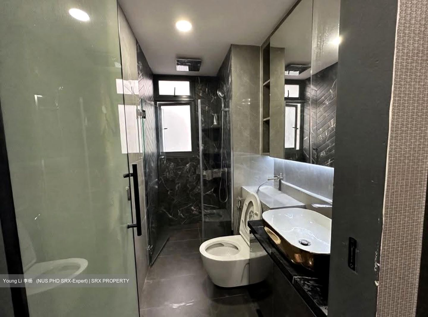 Twin Fountains (D25), Condominium #639032901
